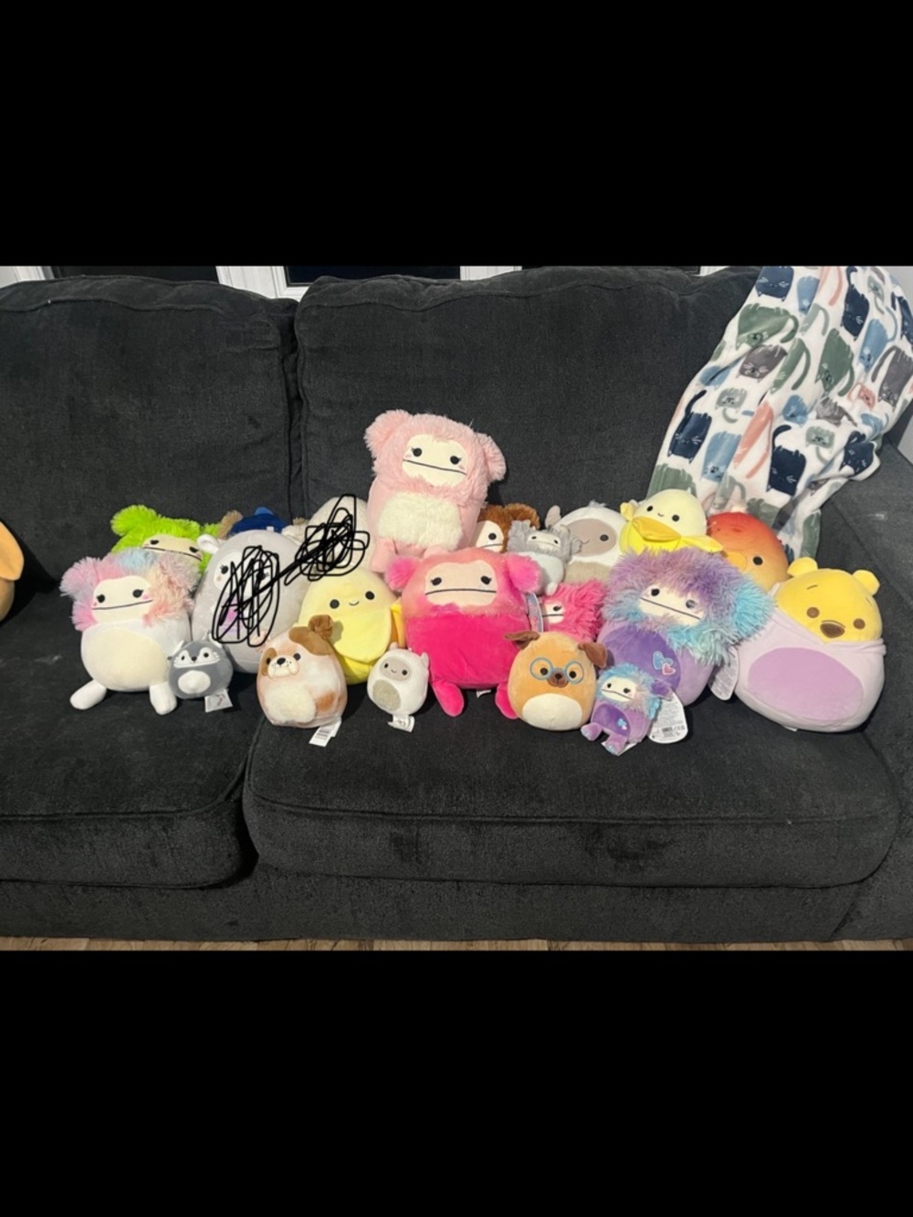 Squishmallow Lot